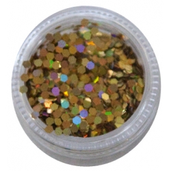 Hologram - 4